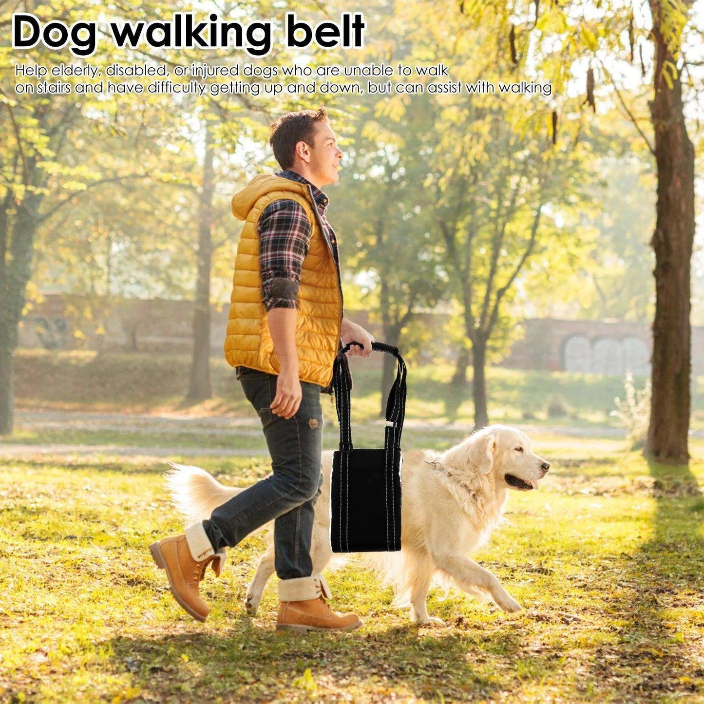 Adjustable Dog Lift HarnessDescription:
Give your furry friend the support they need! This adjustable harness helps pets with joint injuries or mobility issues, allowing them to move with comRegal Pet PalaceRegal Pet PalaceAdjustable Dog Lift