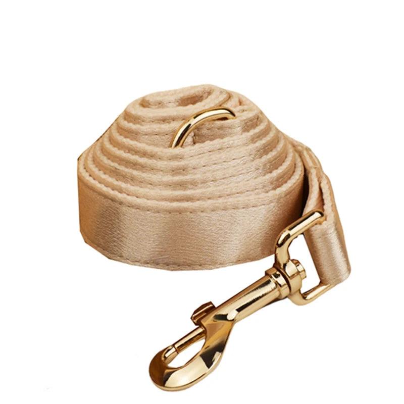 Custom Luxury Designer Dog Set
