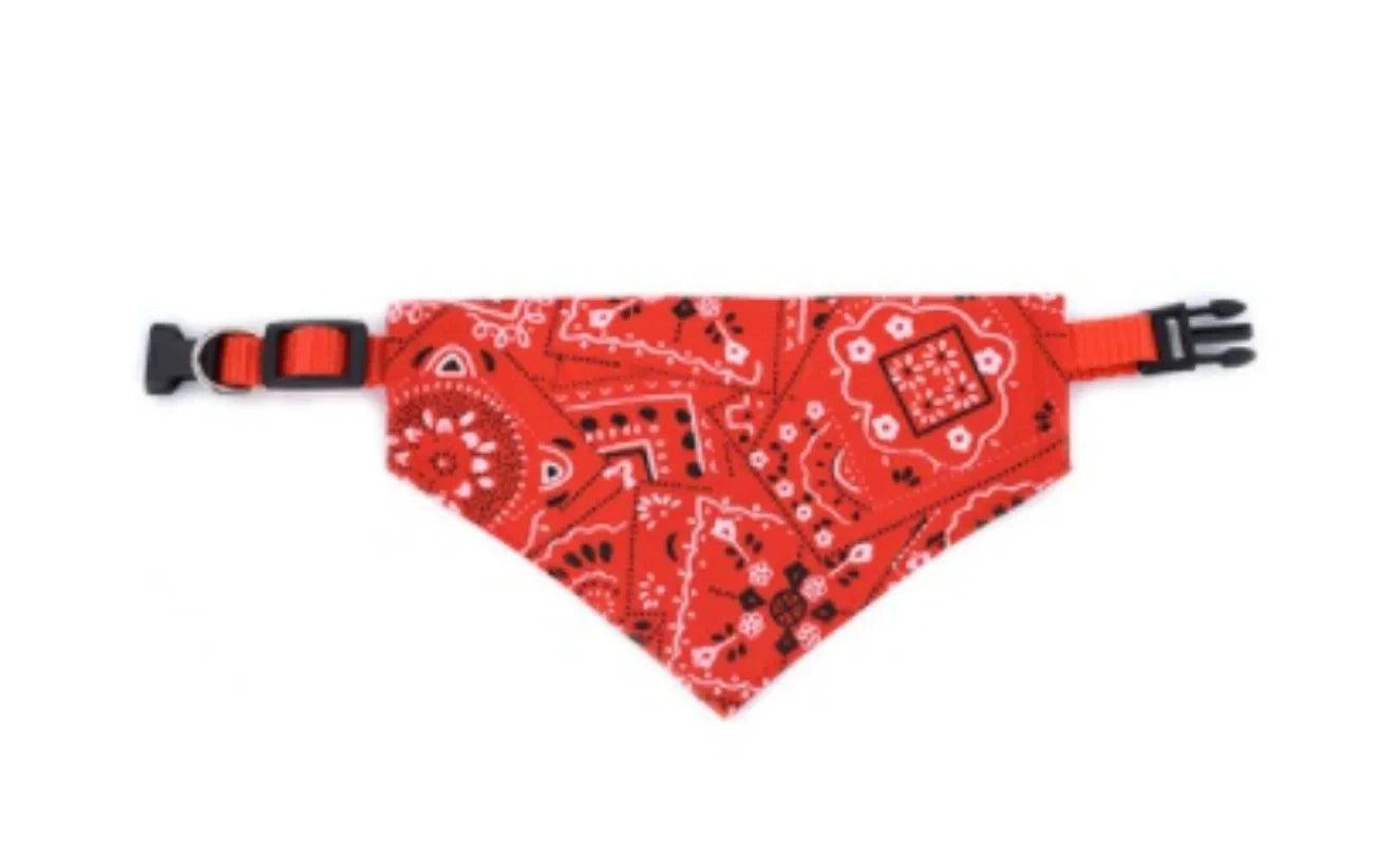 Pet Collar with Necktie