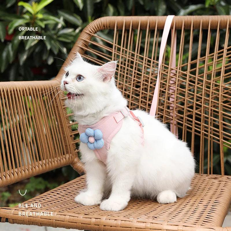 Adjustable Dog Harness & Leash