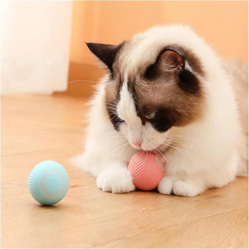 Smart Rolling Cat Toy