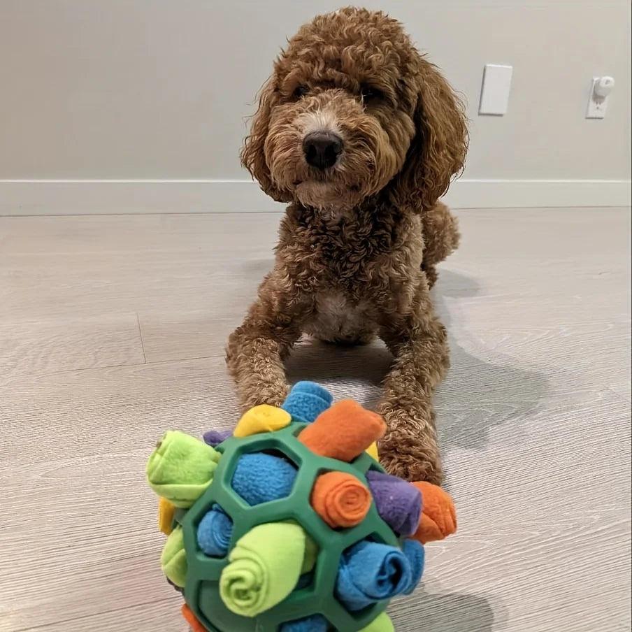 Interactive Sniffing Puzzle Ball