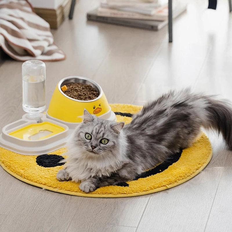 3-in-1 Tilted Pet Bowl