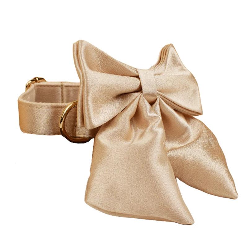Custom Luxury Designer Dog Set