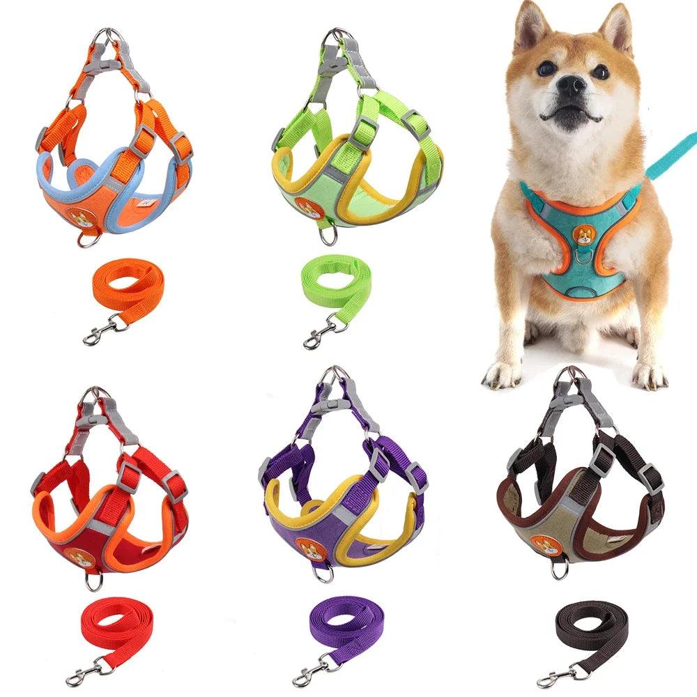Reflective Dog Harness & Leash
