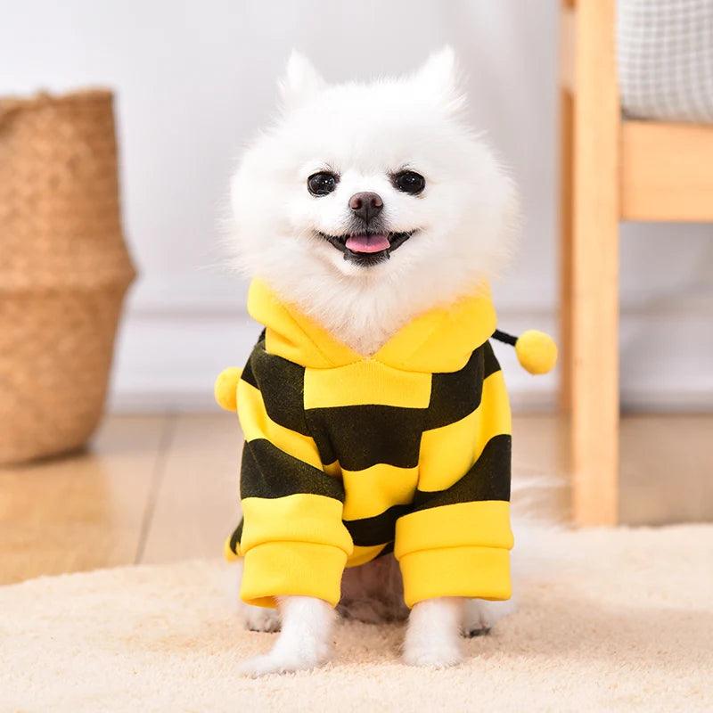 Bee Halloween Dog Sweatshirt