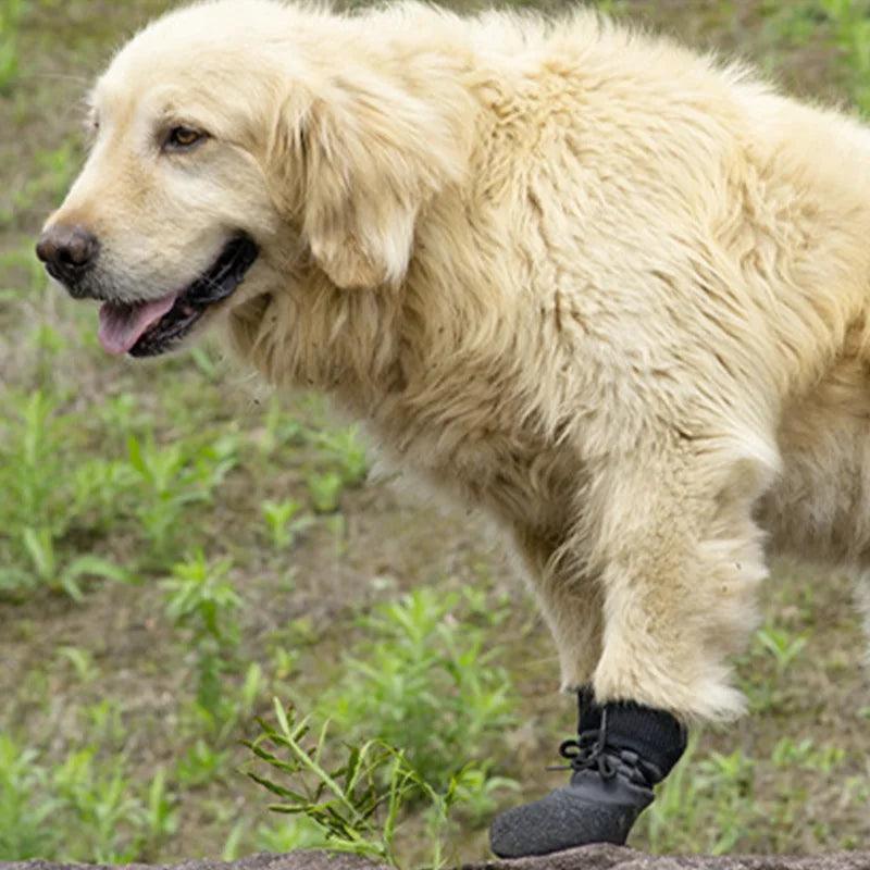 No-Fall Summer Pet Shoes