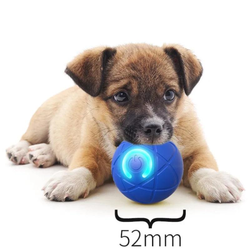 Smart Moving Dog Toy Ball