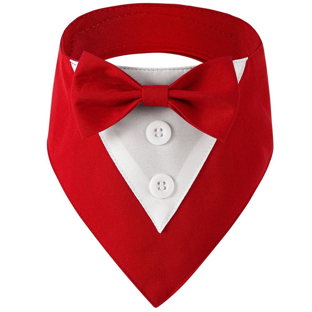 Handsome Dog Bow Tie