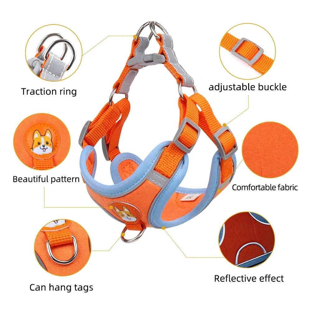 Reflective Dog Harness & Leash