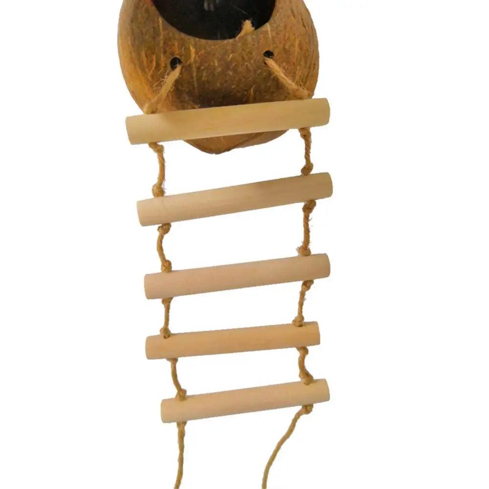 Coconut Shell Bird Hammock