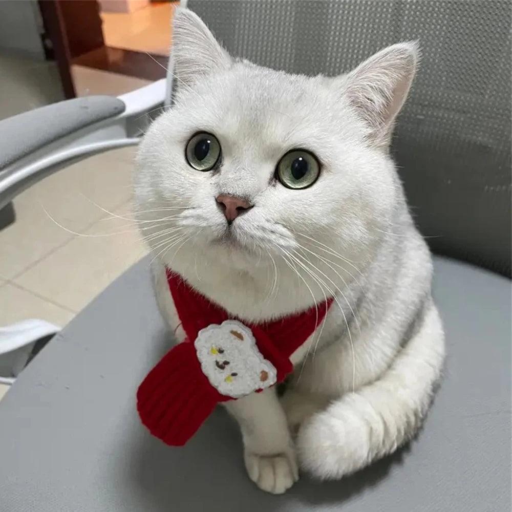 Cartoon Bear Pet Scarf