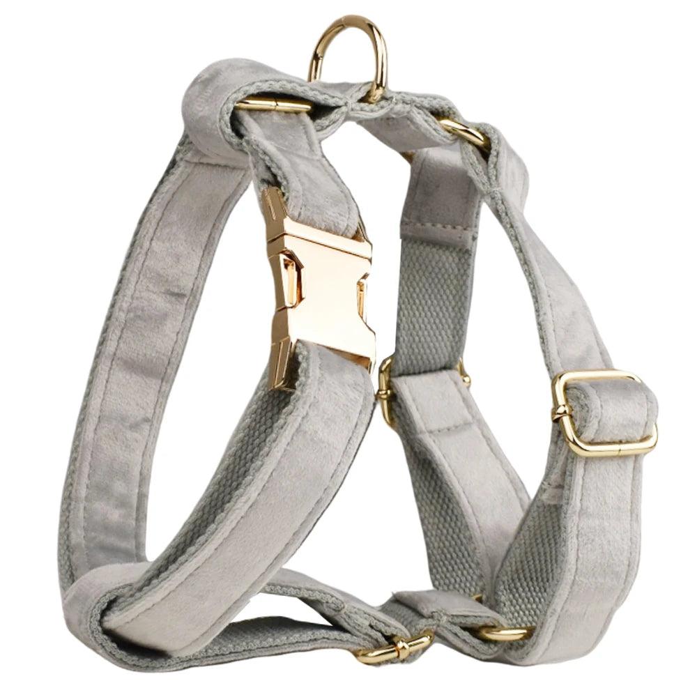 Personalized Velvet Dog Collar Set