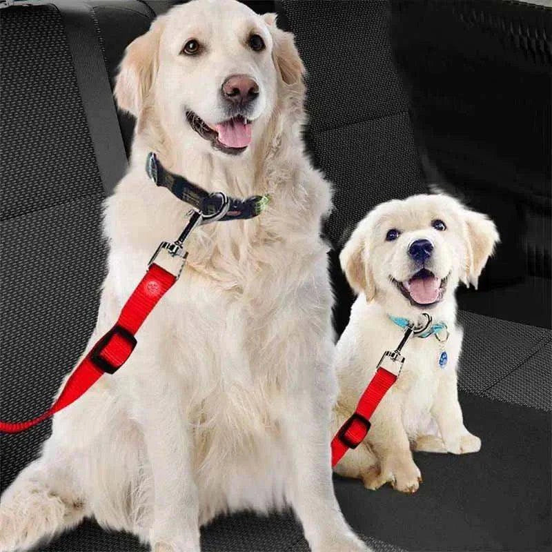 Adjustable Dog Car SeatbeltDescription:
Keep your dog safe and comfortable during car rides! This adjustable, durable seatbelt harness ensures secure travel with reflective bungee fabric for Regal Pet PalaceRegal Pet PalaceAdjustable Dog Car
