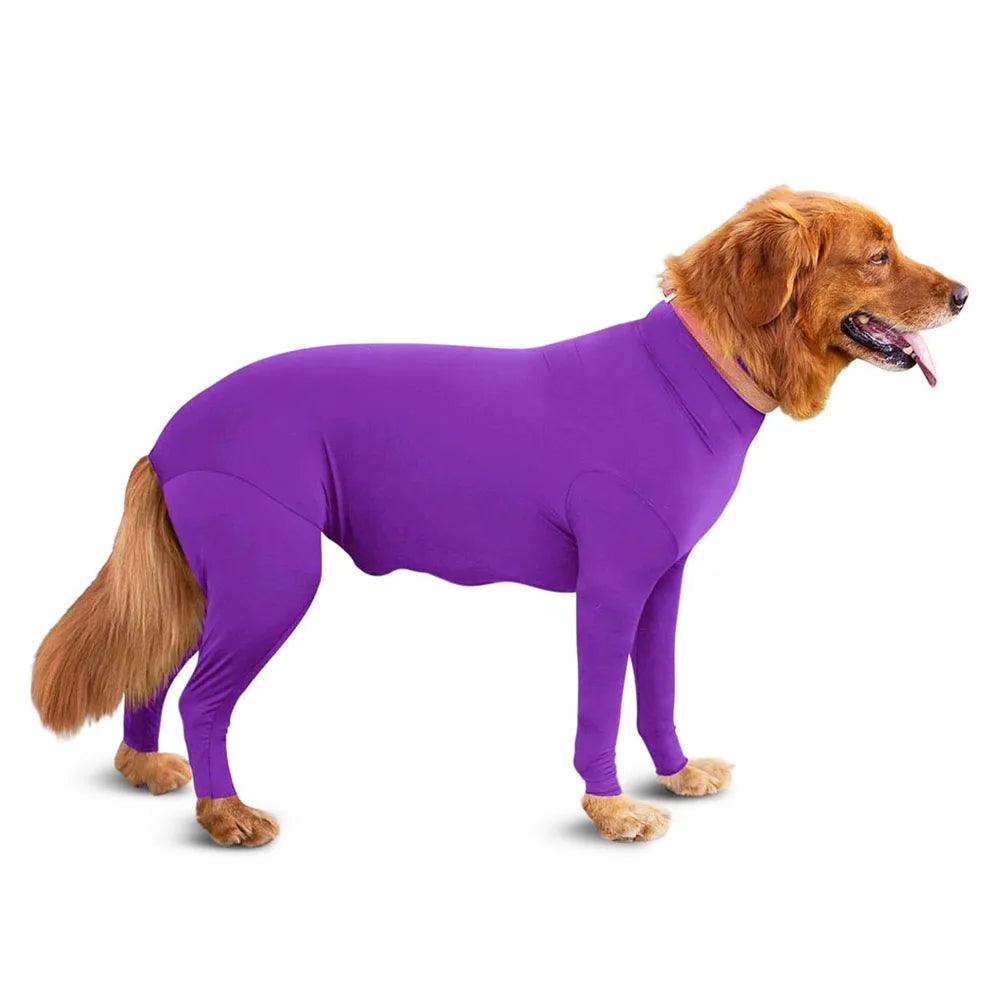 Dog Recovery & Anxiety Suit