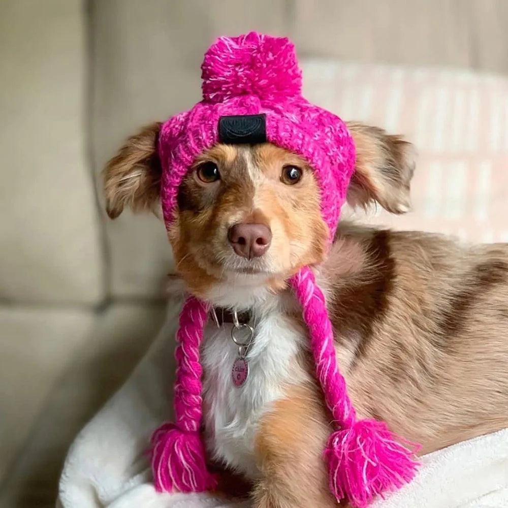 Cozy Knitted Dog Hat