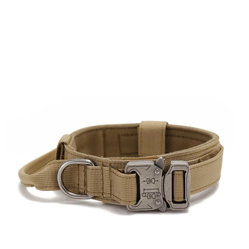 Durable Dog Collar & Leash