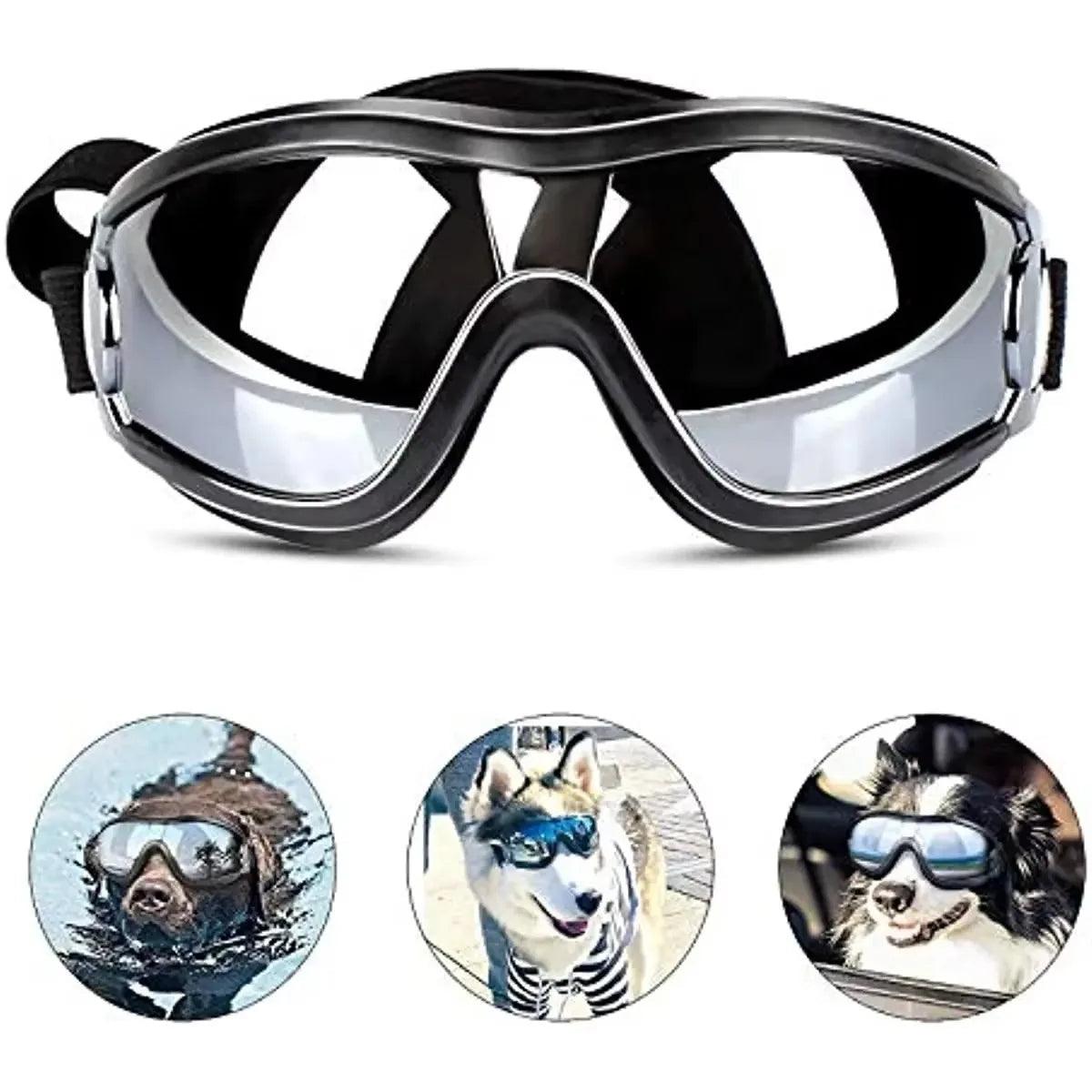 Anti-Fog Dog Snow Goggles