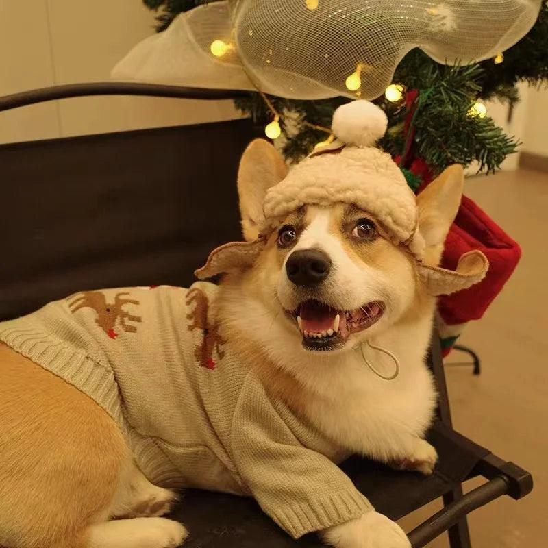 Cozy Adjustable Pet Hat