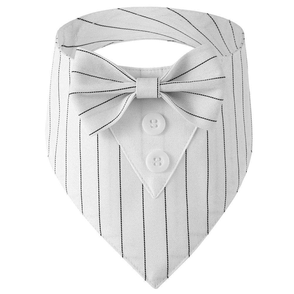 Handsome Dog Bow Tie