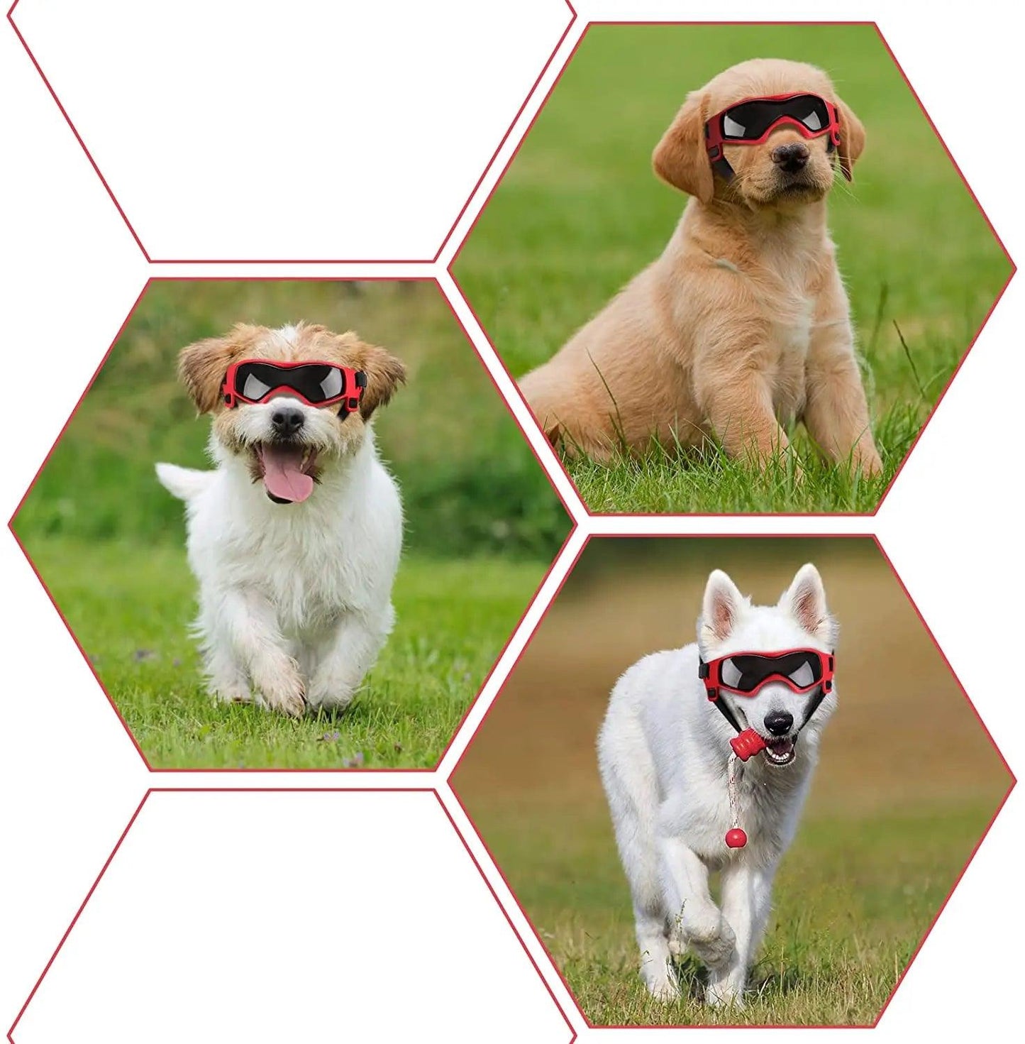 Cool Dog & Cat Sunglasses