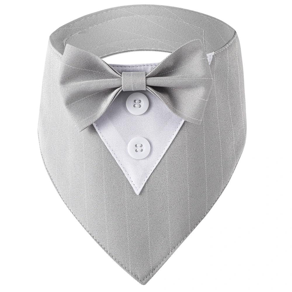 Handsome Dog Bow Tie