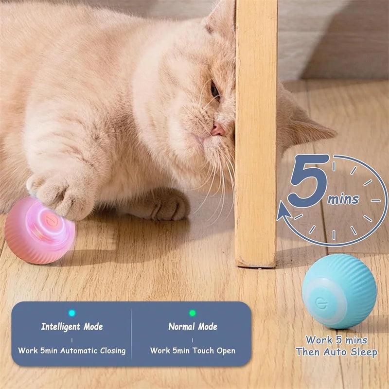Smart Rolling Cat Toy