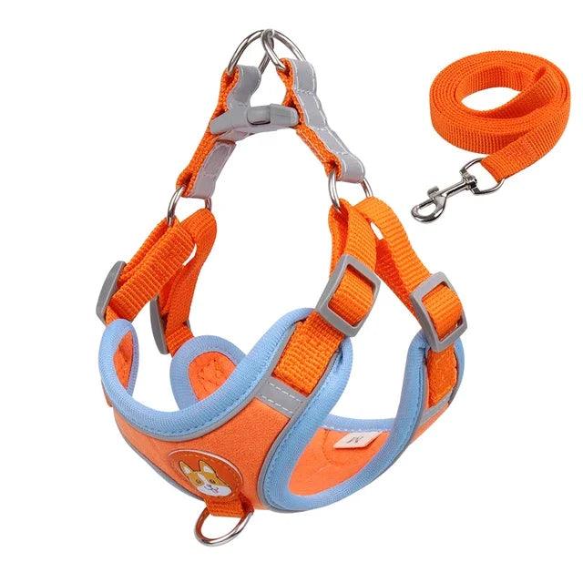 Reflective Dog Harness & Leash