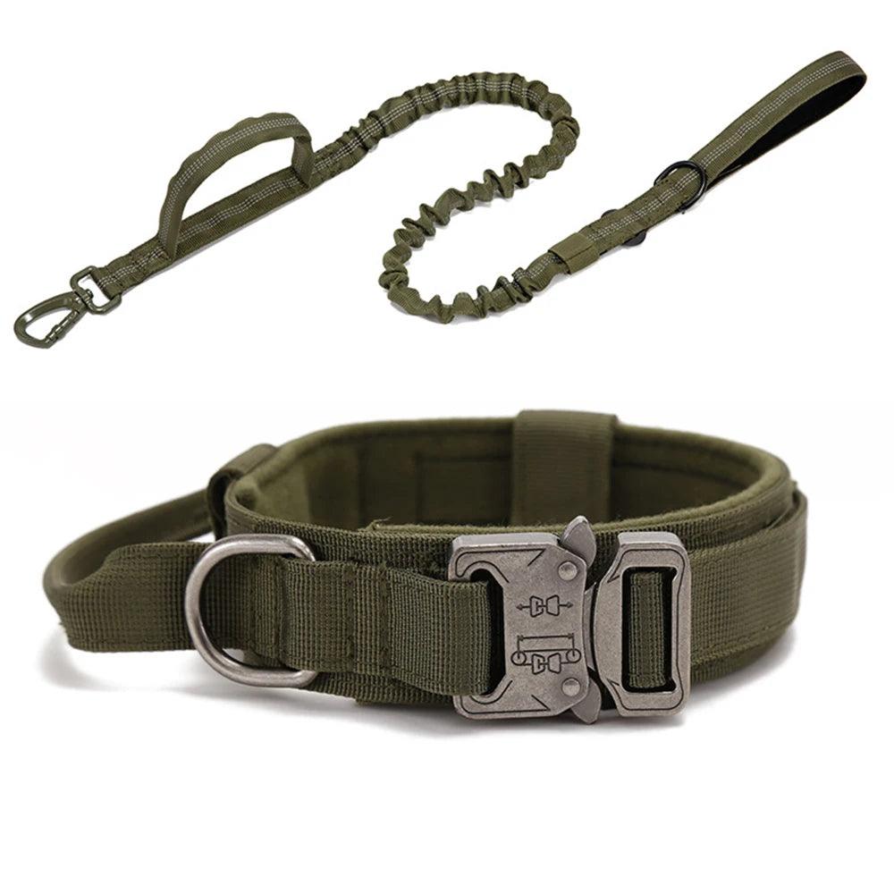 Durable Dog Collar & Leash