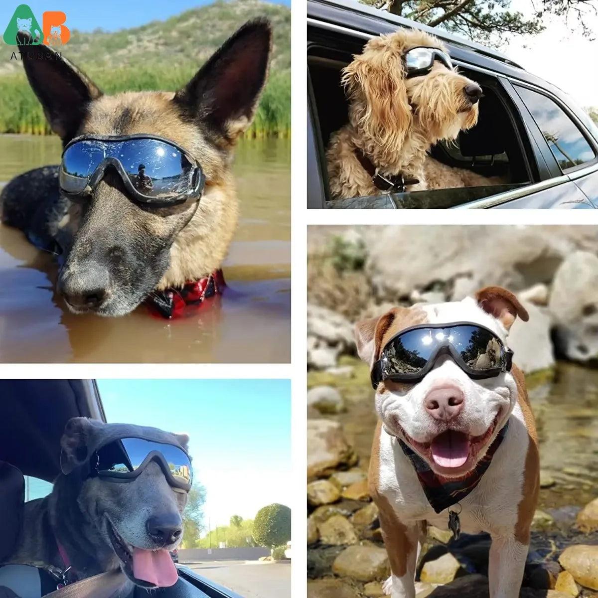 Anti-Fog Dog Snow Goggles