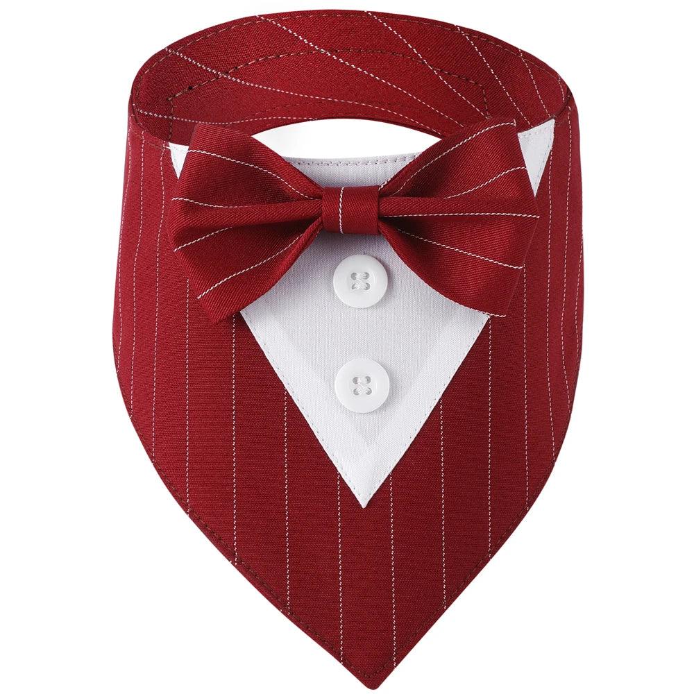 Handsome Dog Bow Tie