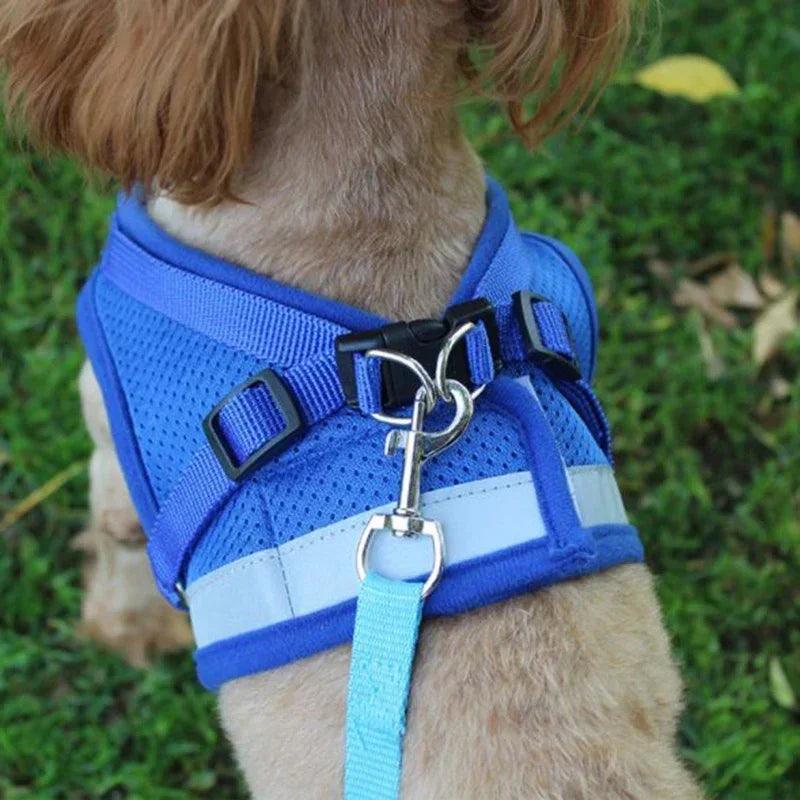 Adjustable Pet Harness & Leash