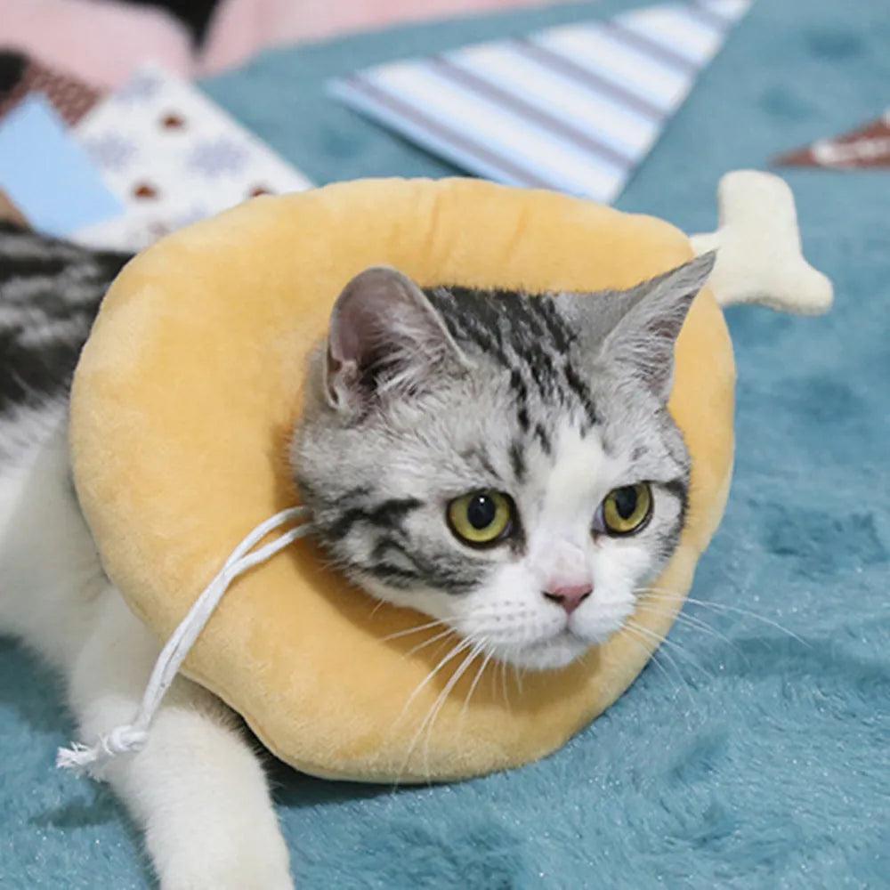 Avocado Pet Recovery Collar