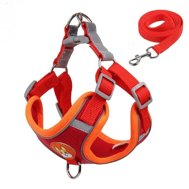 Reflective Dog Harness & Leash