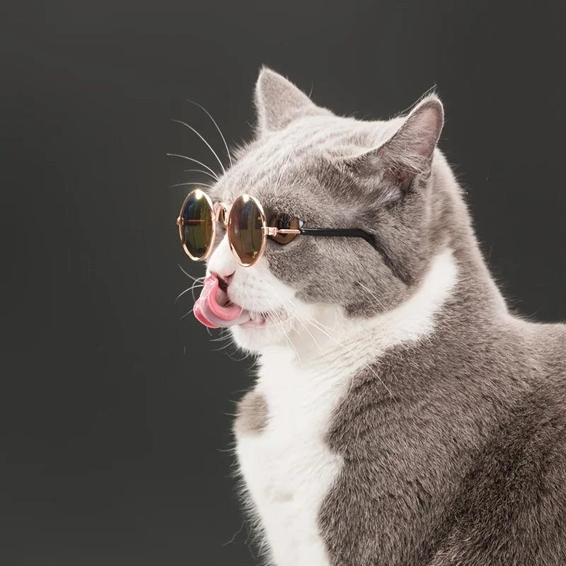 Retro Pet Sunglasses for Style
