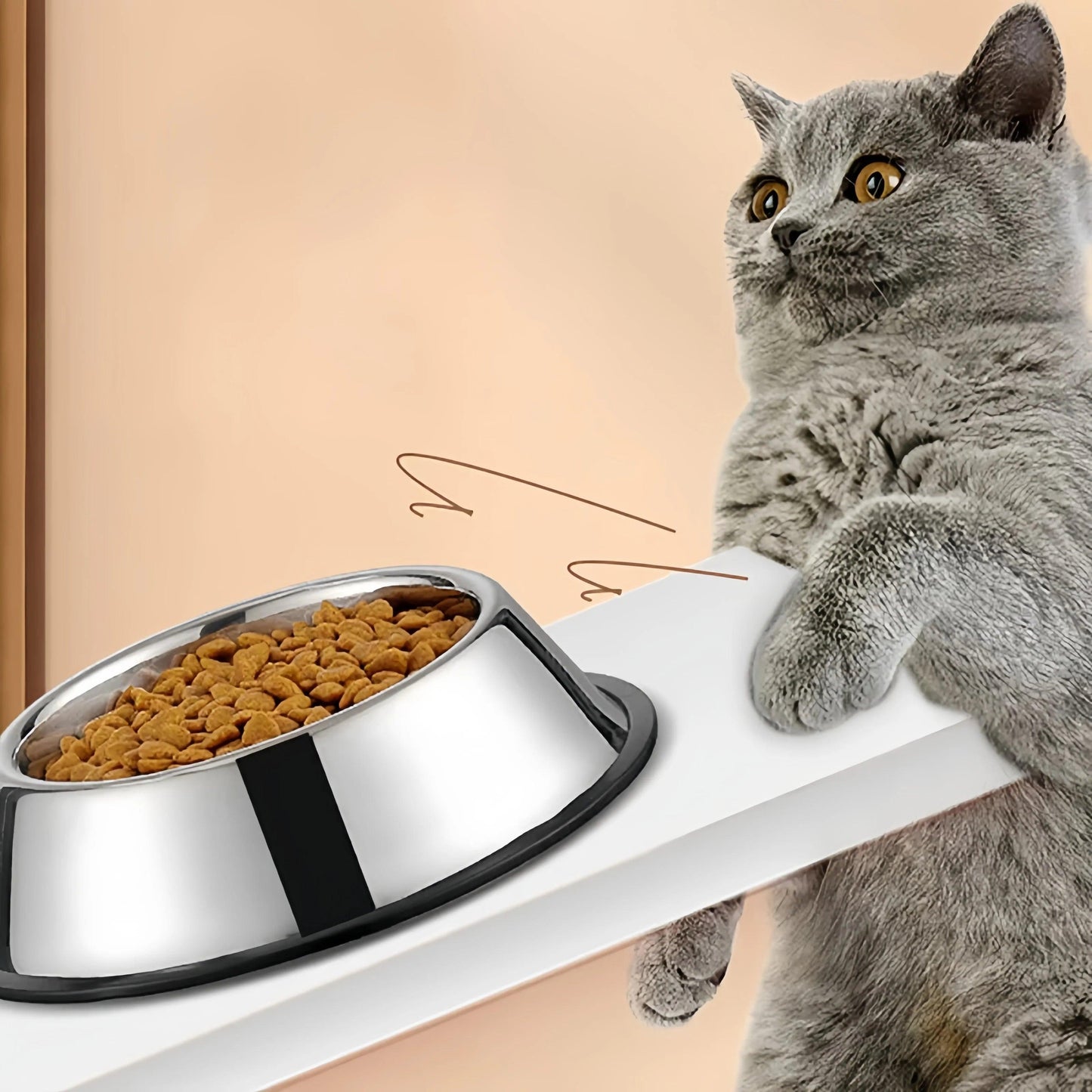 Durable Stainless Steel Pet Bowl