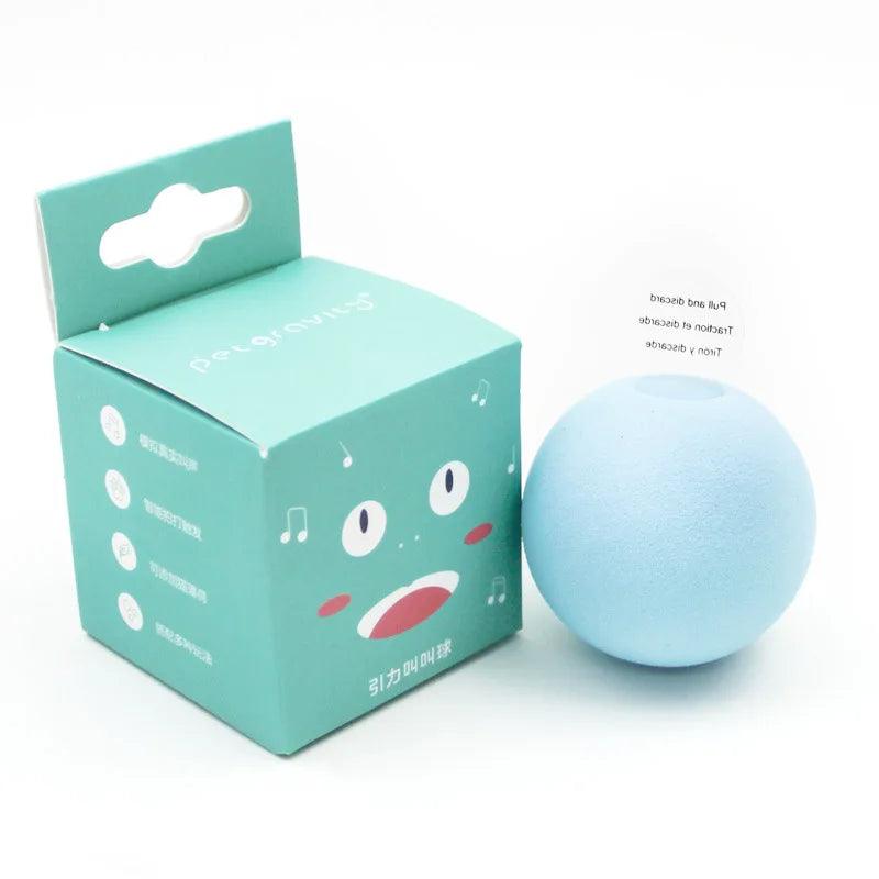 Interactive Catnip Plush Toy