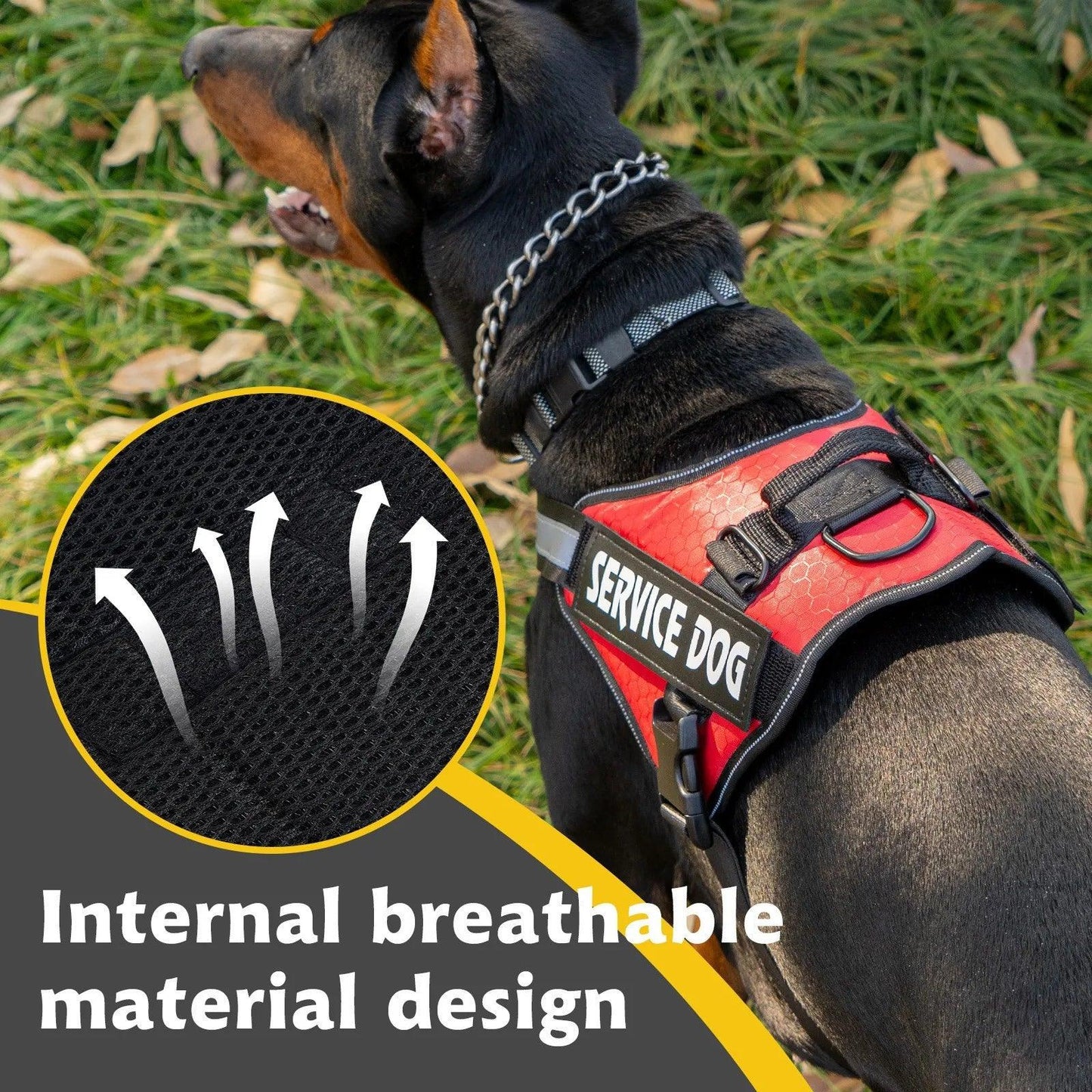 No-Pull Dog Harness Vest