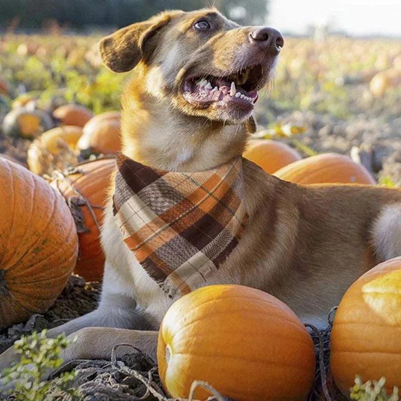 Plaid Dog Bandana Set