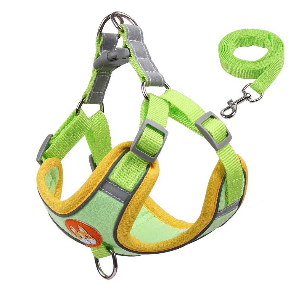 No Pull Dog Harness Set