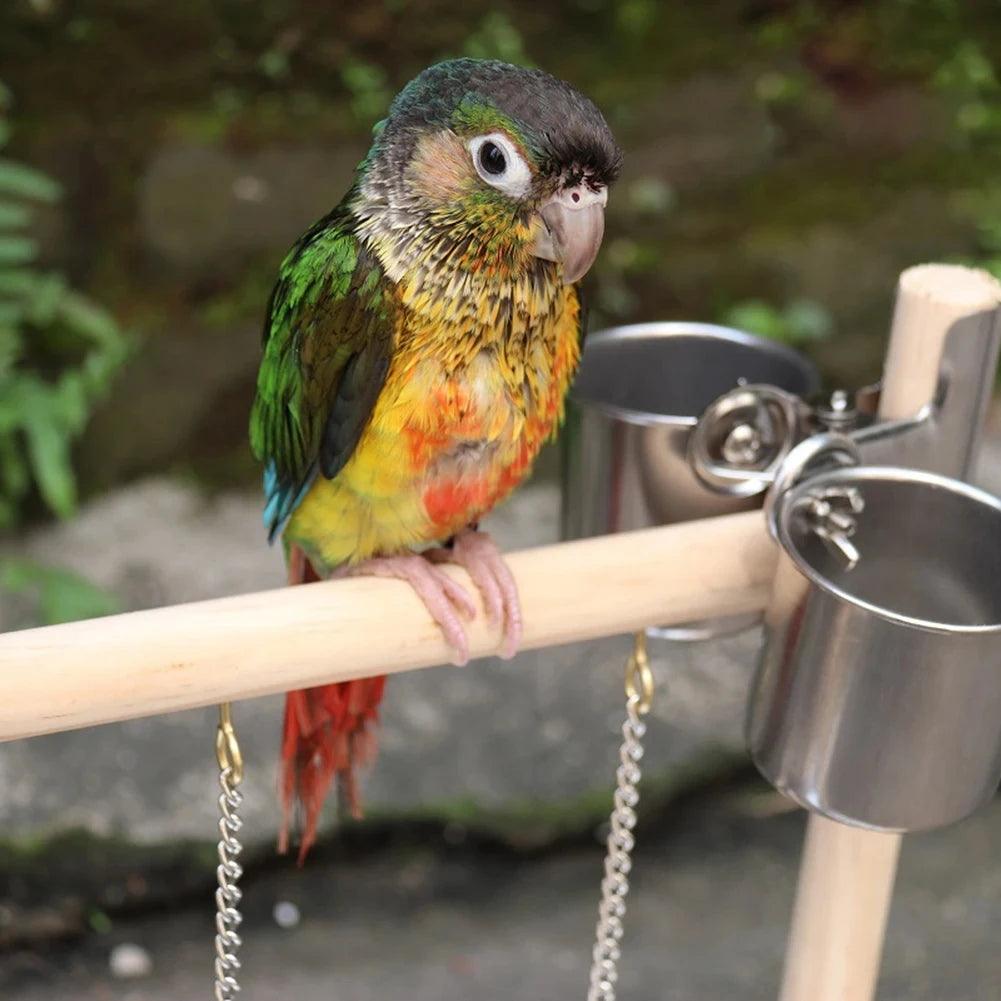 Parrot Playground Activity Set