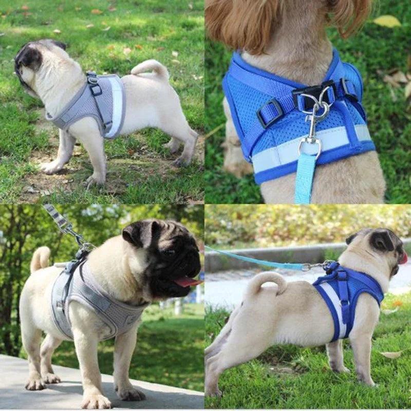 Adjustable Pet Harness & Leash