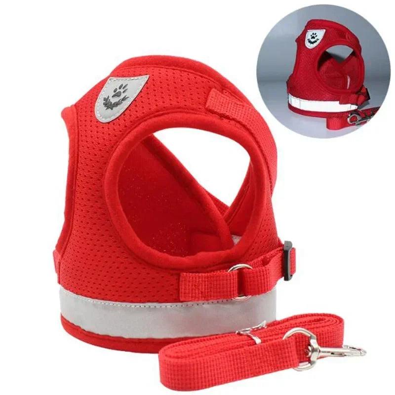 Adjustable Pet Harness & Leash