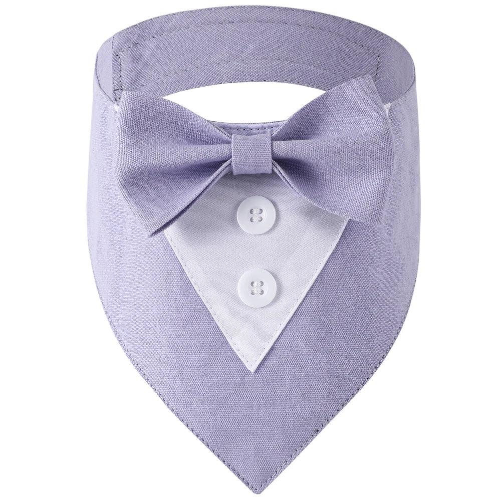 Handsome Dog Bow Tie