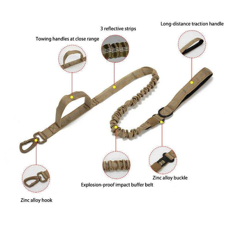 Durable Dog Collar & Leash