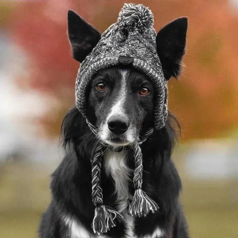 Winter Warm Dog Hat