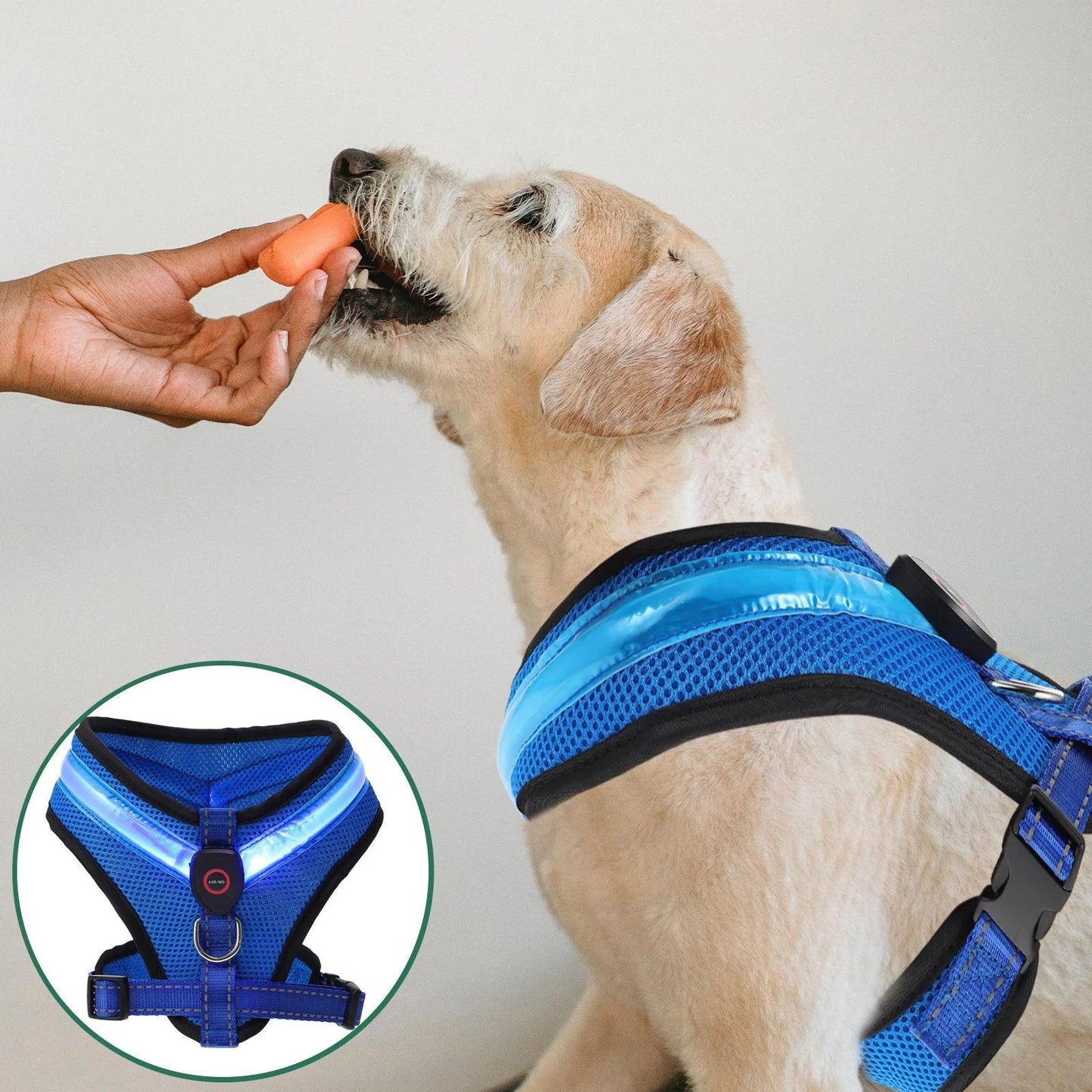 Glow LED Dog Vest Harness