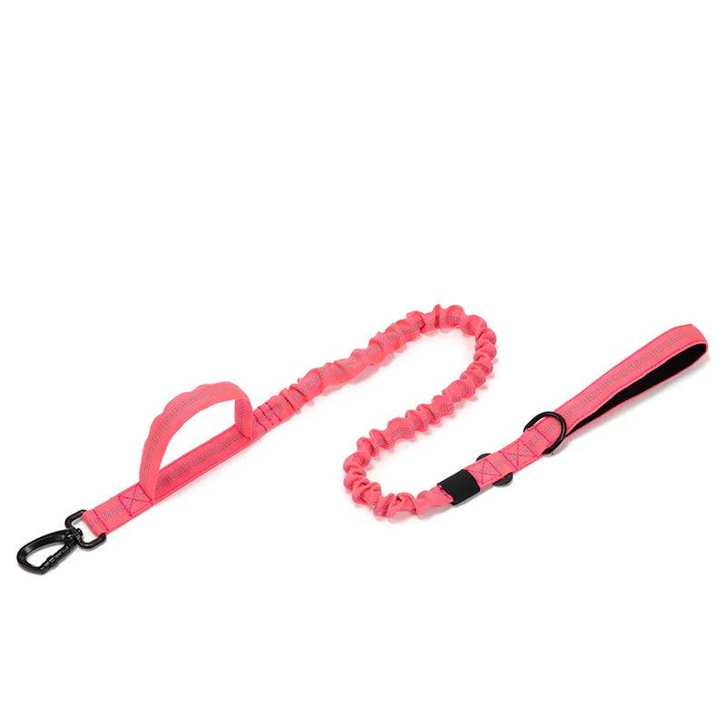 Durable Dog Collar & Leash