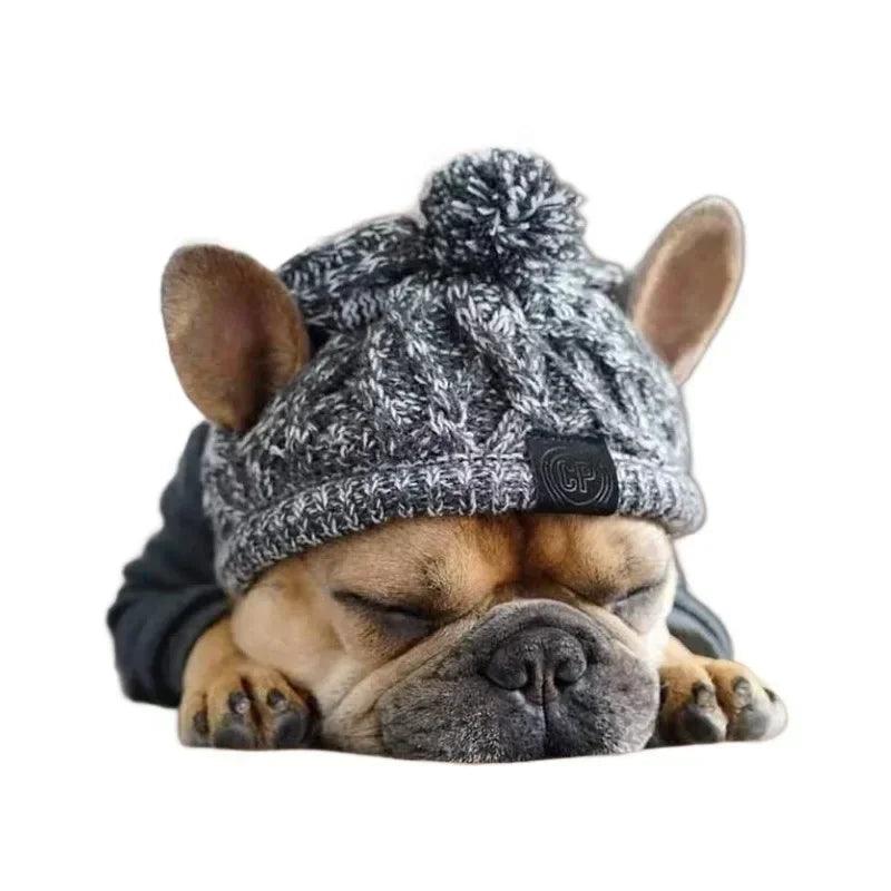 Winter Warm Dog Hat