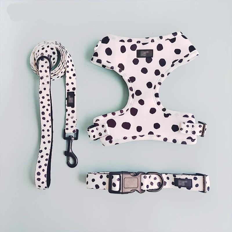 4-in-1 Pet Harness Set